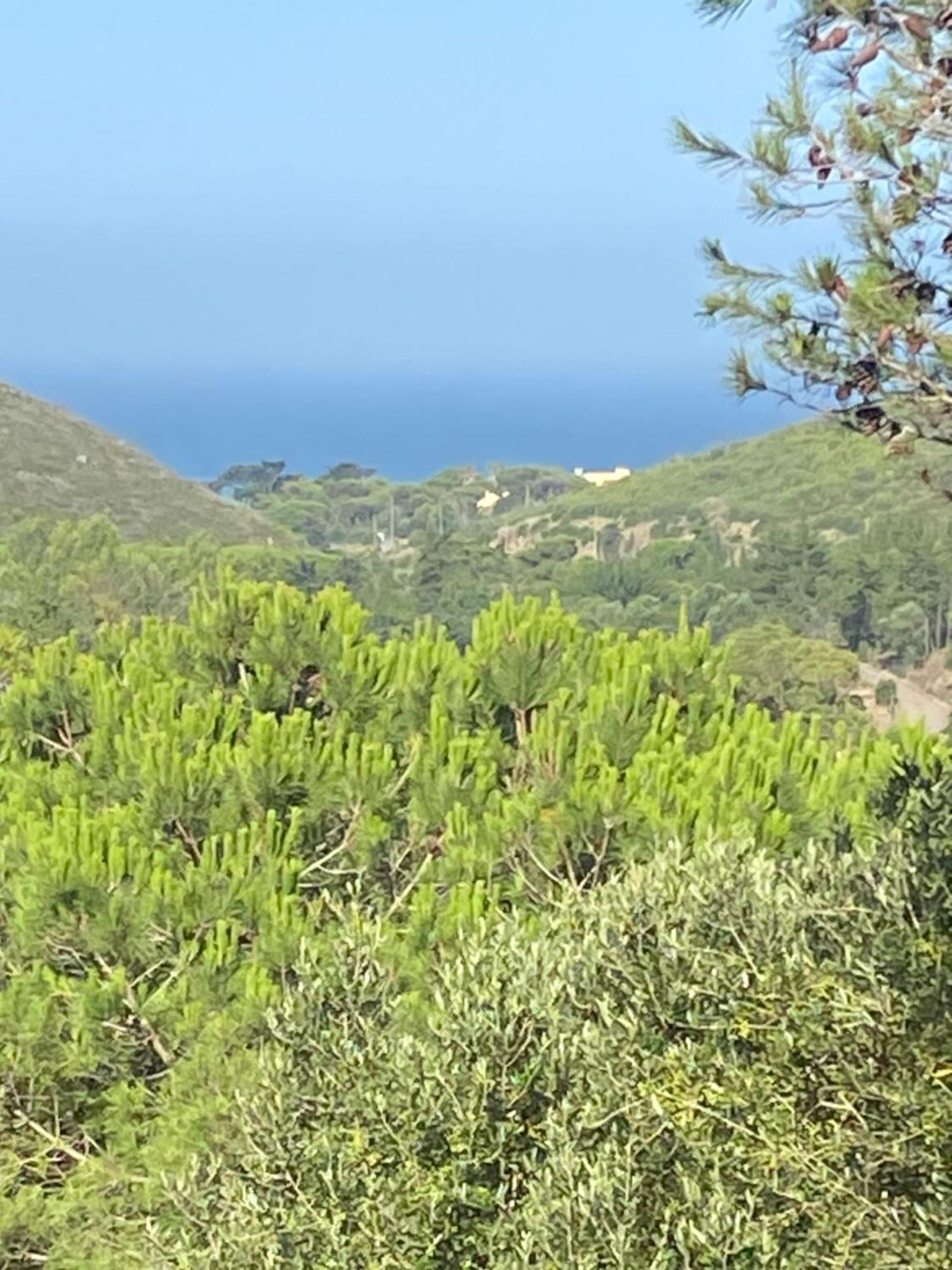 Amazigh Guincho Hostel & Suites Cascais Ngoại thất bức ảnh