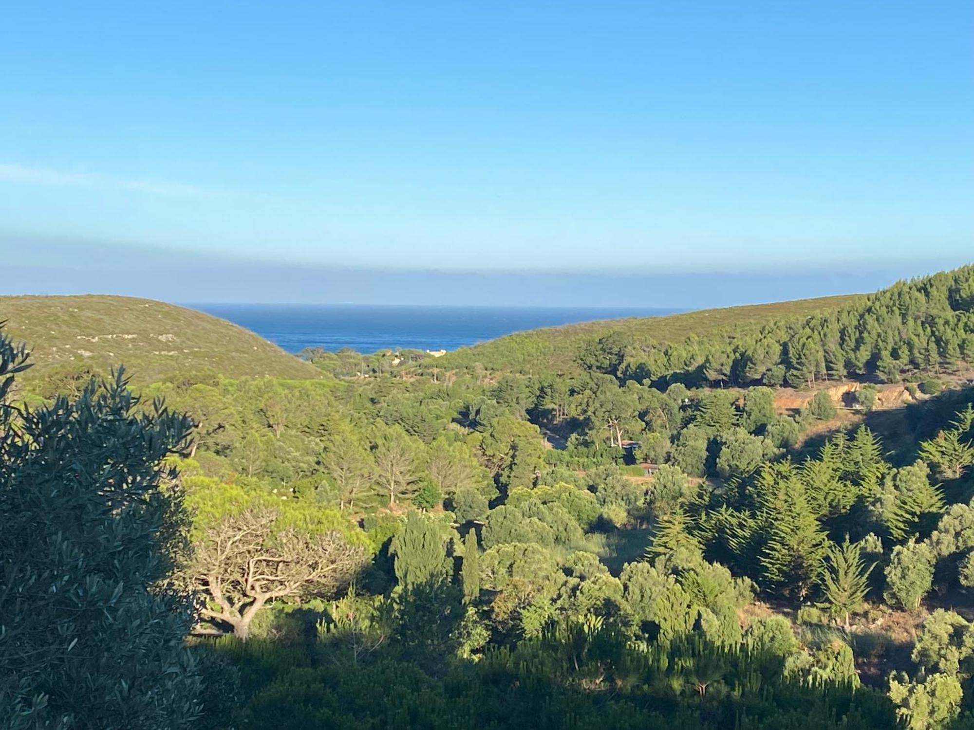 Amazigh Guincho Hostel & Suites Cascais Ngoại thất bức ảnh