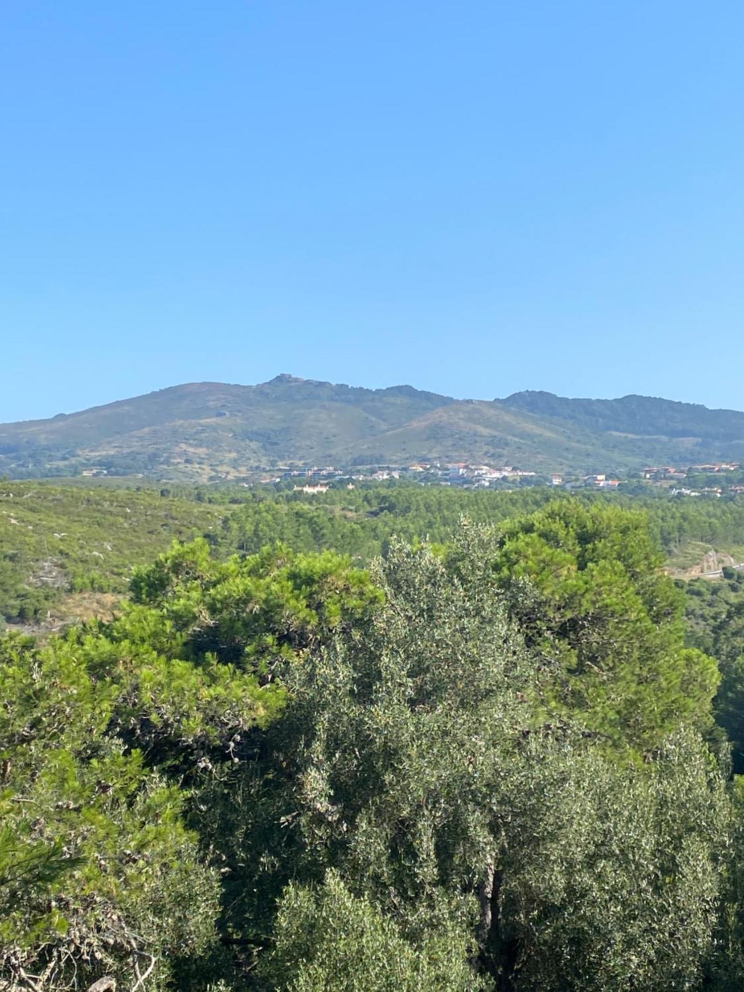 Amazigh Guincho Hostel & Suites Cascais Ngoại thất bức ảnh